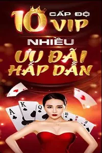 10 cấp độ vip nhiều ưu đãi hấp dẫn