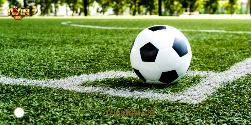 Cá độ bóng đá là gì?