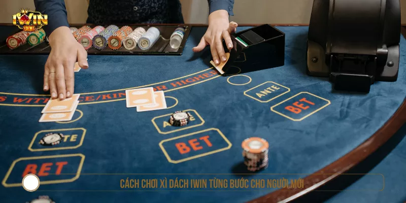 Cách chơi Xì Dách IWIN từng bước cho người mới
