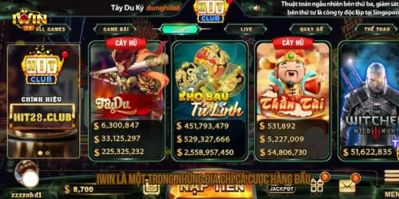 IWIN là một trong những địa chỉ cá cược hàng đầu