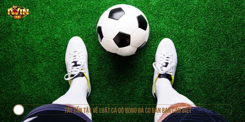 Tất Tần Tật Về Luật Cá Độ Bóng Đá Cơ Bản Bạn Cần Biết